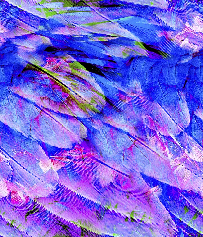 Animal Large Feathers Zoom Flight Blue P – Cadfab Digital